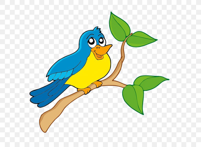 Bird Owl Parrot Clip Art, PNG, 600x600px, Bird, Artwork, Beak, Common Pet Parakeet, Fauna Download Free