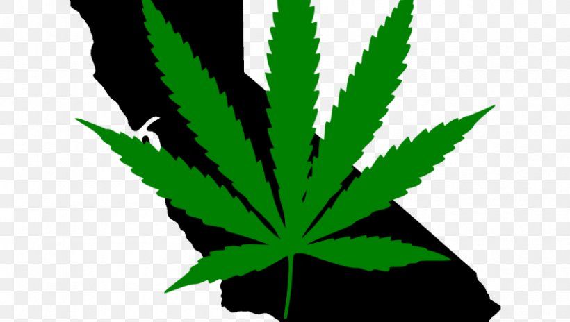 Cannabis In California Medical Cannabis Legality Of Cannabis By U.S. Jurisdiction Cannabis Tea, PNG, 848x480px, Cannabis In California, California, Cannabis, Cannabis Smoking, Cannabis Tea Download Free