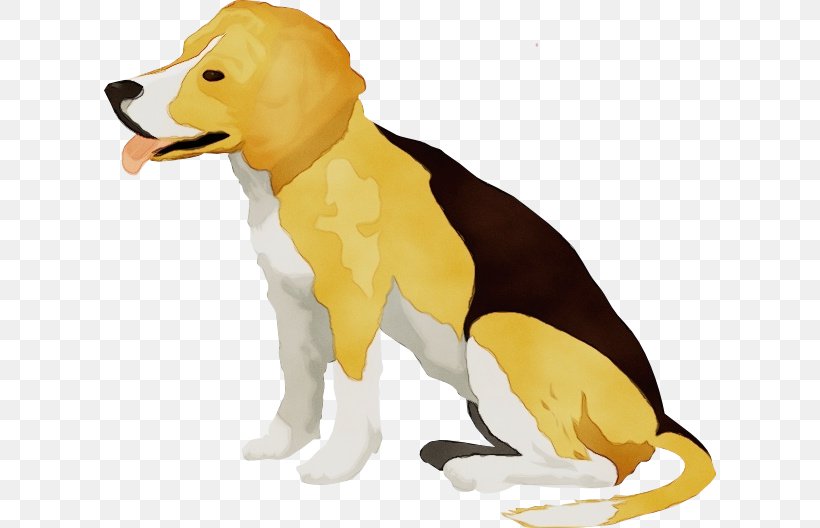 Dog Animal Figure Yellow Dog Breed Sporting Group, PNG, 612x528px, Watercolor, Animal Figure, Beagle, Dog, Dog Breed Download Free
