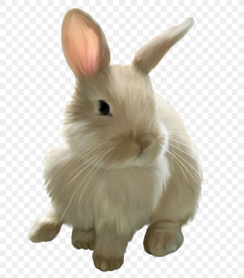 Mini Lop Domestic Rabbit Angel Bunny Easter Bunny, PNG, 708x934px, Mini Lop, Angel Bunny, Animal Figure, Beige, Domestic Rabbit Download Free