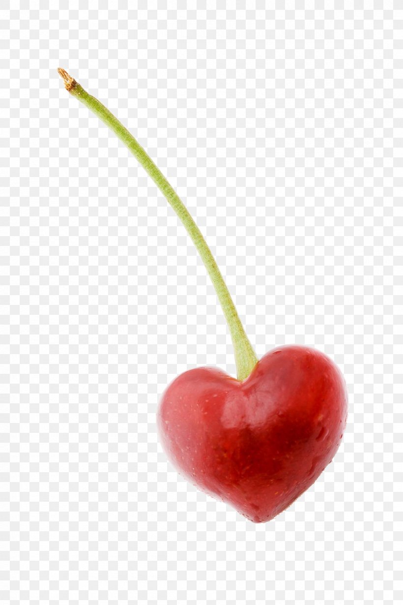 Sweet Cherry Fruit Illustration, PNG, 1200x1800px, Cherry, Auglis, Cherry Tomato, Food, Fruit Download Free