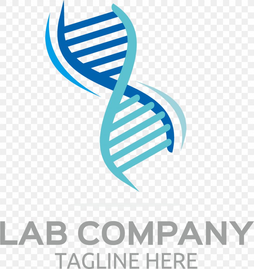 DNA Euclidean Vector Icon, PNG, 996x1055px, Encode, Area, Blue, Brand, Clip Art Download Free