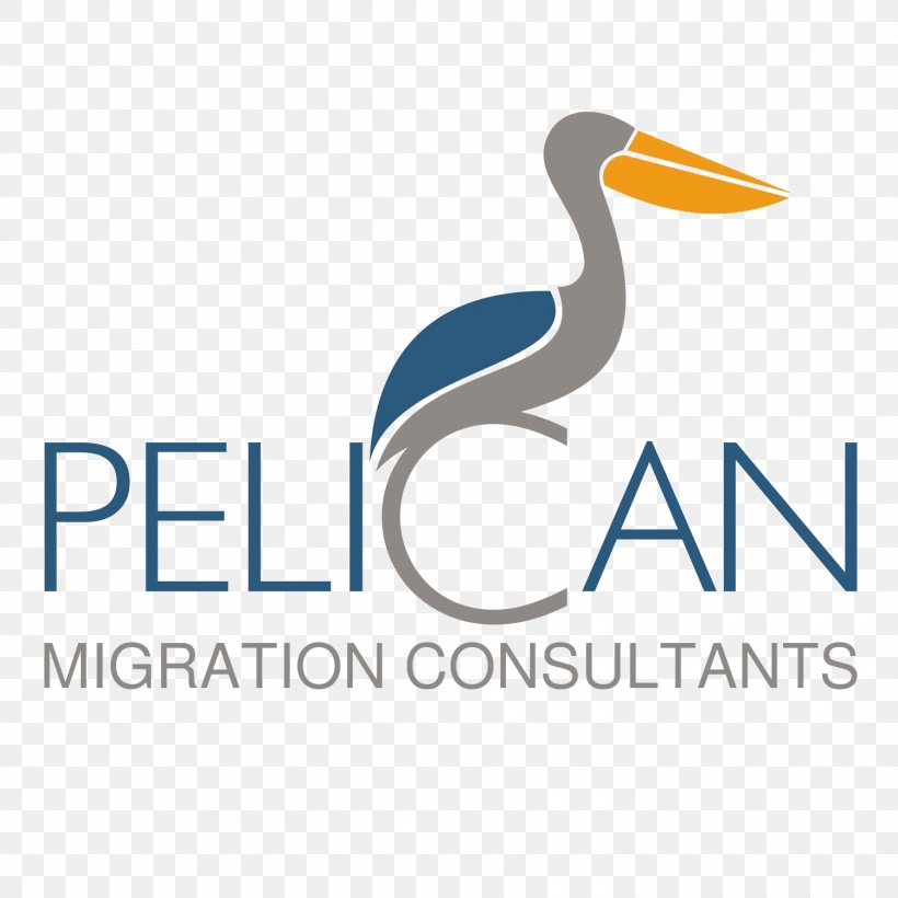 Pelican Migration Consultants, PNG, 1500x1500px, Immigration Consultant, Beak, Brand, Business, Consultant Download Free