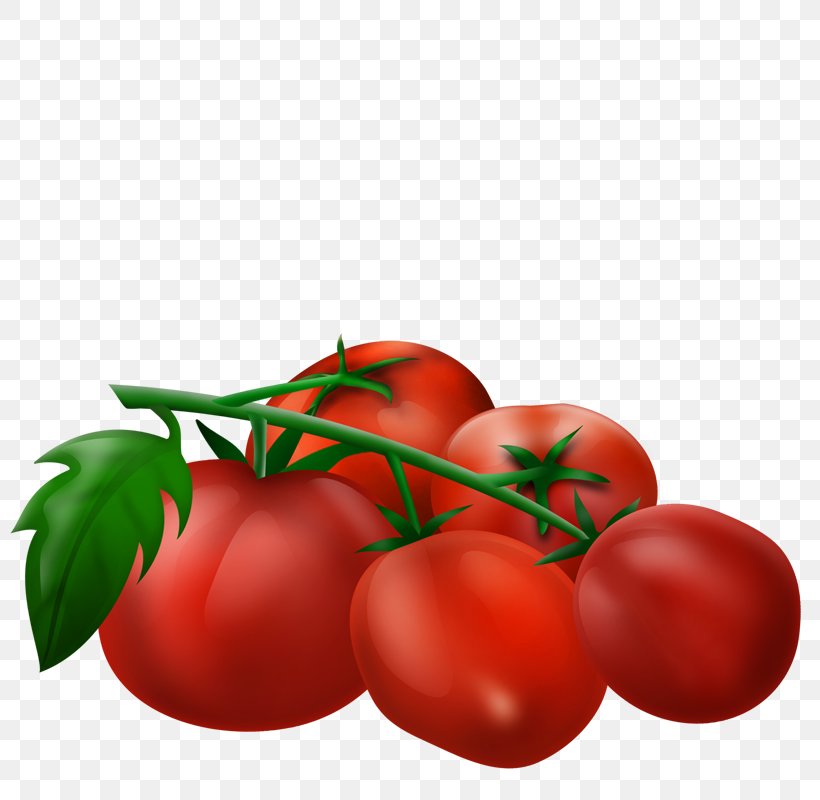Plum Tomato Vegetable Cherry Tomato Bush Tomato Fruit, PNG, 800x800px, Plum Tomato, Bush Tomato, Cherry, Cherry Tomato, Diet Food Download Free