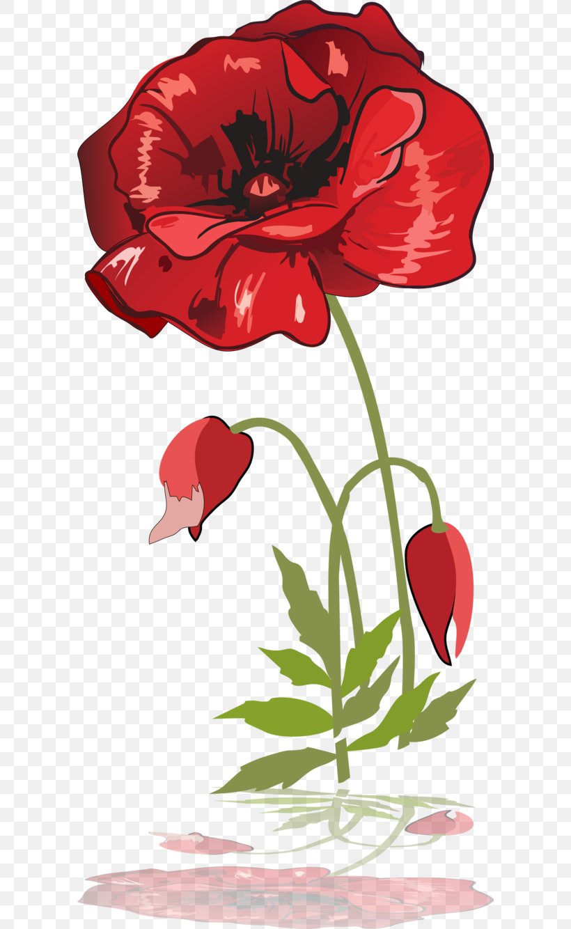 Poppy Garden Roses Drawing, PNG, 598x1334px, Poppy, Armistice Day, Art, Coquelicot, Cut Flowers Download Free