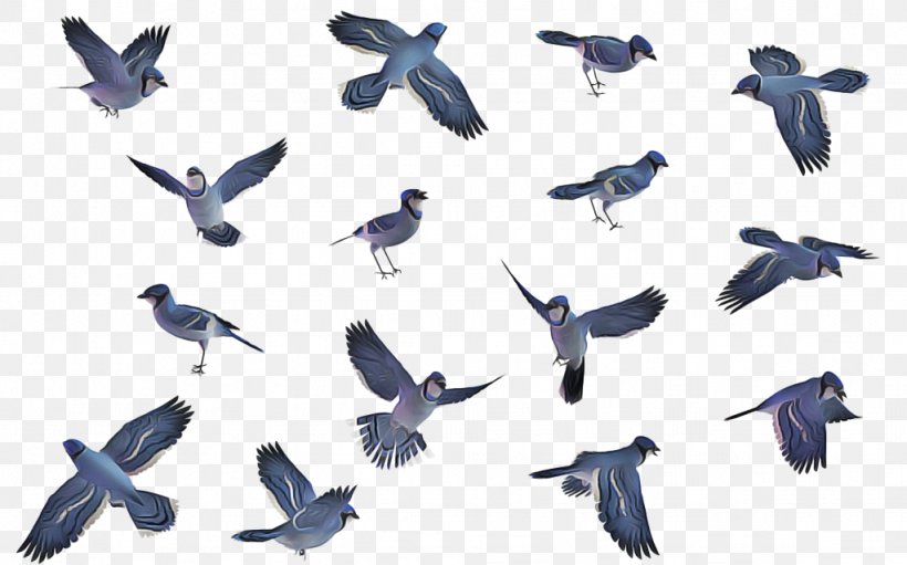 Swallow Bird, PNG, 1024x639px, Pigeons And Doves, Animal Figure, Animal Migration, Beak, Bird Download Free