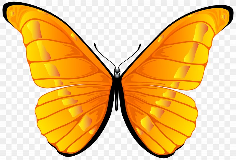 Butterfly Clip Art, PNG, 7000x4739px, Butterfly, Arthropod, Blog, Brush Footed Butterfly, Butterflies And Moths Download Free