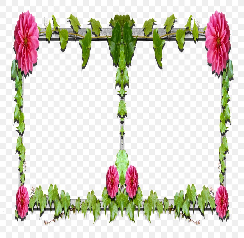 Floral Design Garden Roses Cut Flowers Petal Plant Stem, PNG, 800x800px, Floral Design, Branch, Branching, Cut Flowers, Flora Download Free