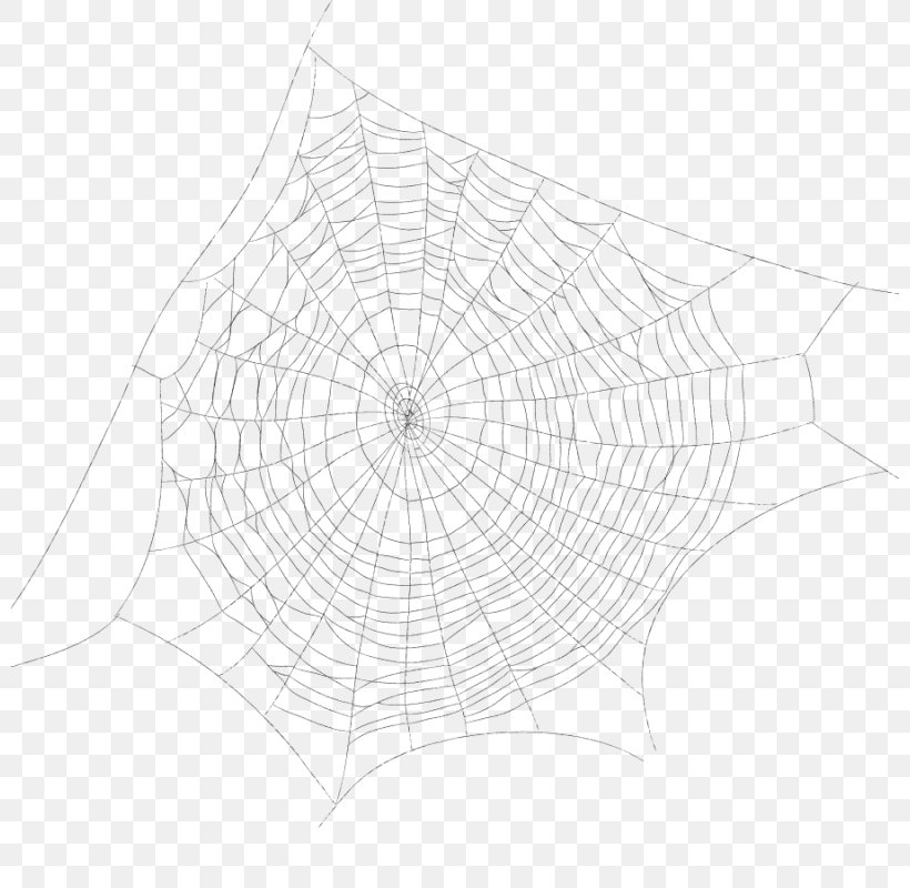 Spider Web Drawing Point, PNG, 800x800px, Spider Web, Area, Black And White, Drawing, Invertebrate Download Free