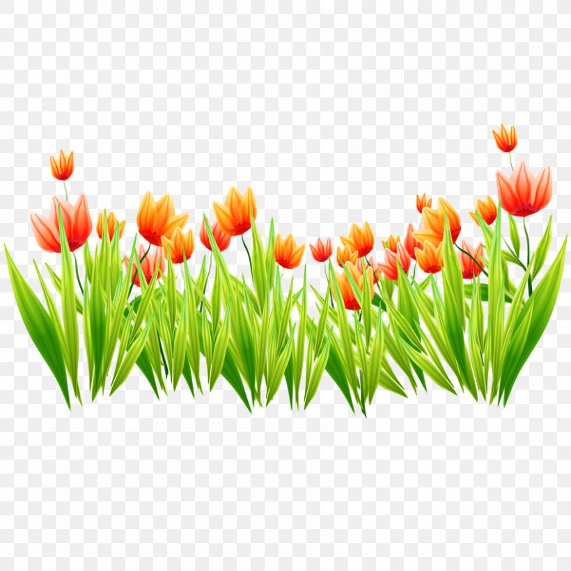 Tulip Icon, PNG, 850x850px, Tulip, Creative Work, Creativity, Designer, Floral Design Download Free
