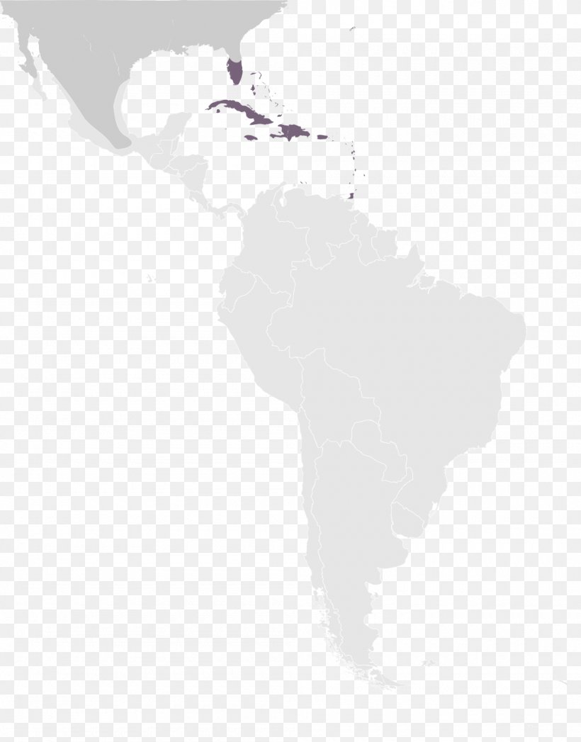 White Latin America Desktop Wallpaper Computer Font, PNG, 1000x1278px, White, Black, Black And White, Cloud, Computer Download Free