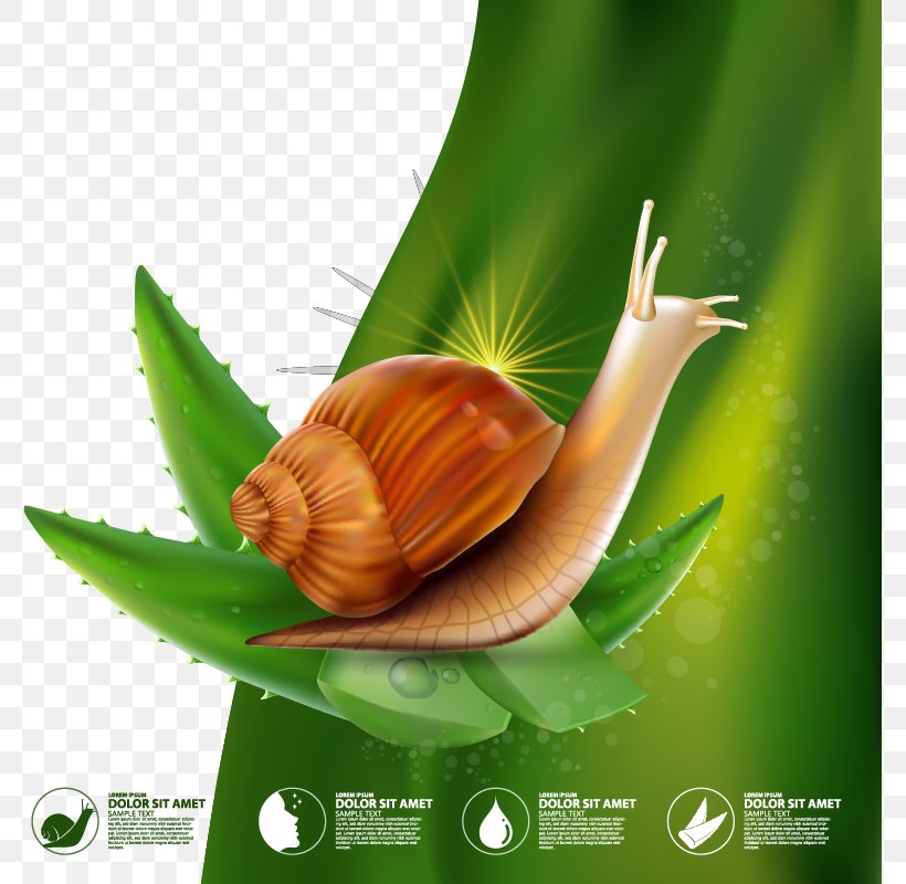 Snail Illustration, PNG, 777x800px, Snail, Advertising, Aloe Vera, Cdr, Grass Download Free