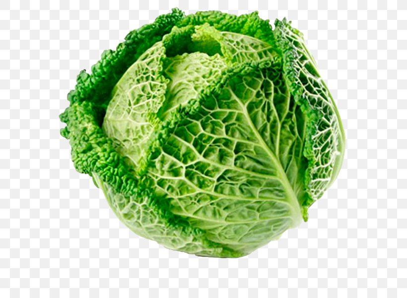 Cabbage Roll Savoy Cabbage Cauliflower Brussels Sprout Red Cabbage, PNG, 600x600px, Cabbage Roll, Brassica, Brassica Oleracea, Brussels Sprout, Cabbage Download Free