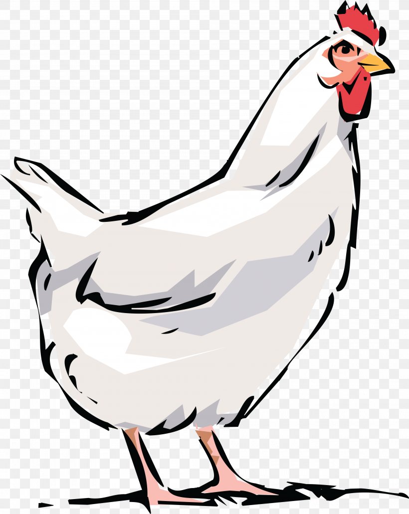 Dominique Chicken Broiler Bird Rooster Clip Art, PNG, 4000x5030px, Dominique Chicken, Artwork, Beak, Bird, Black And White Download Free
