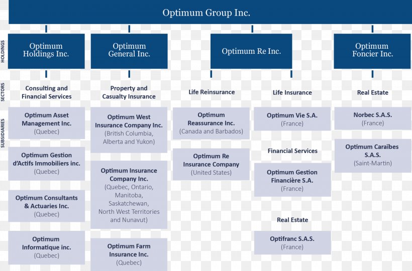 Organizational Structure Of General Insurance Company Organizational 