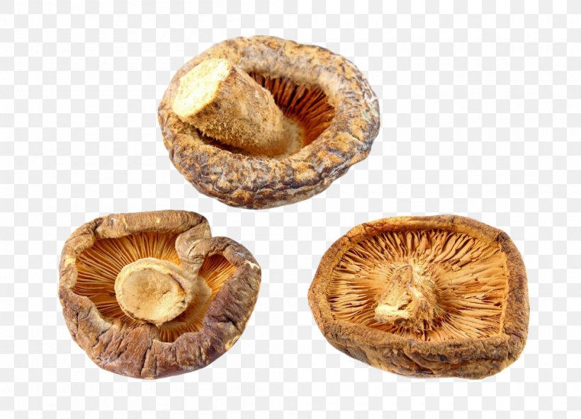 Shiitake Mushroom Stock Photography, PNG, 1000x722px, Shiitake, Edible Mushroom, Food Drying, Fungus, Grzyby Suszone Download Free