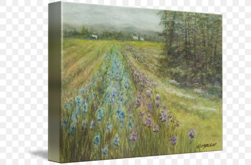 Watercolor Painting Meadow Ecosystem, PNG, 650x540px, Watercolor Painting, Ecosystem, Field, Flora, Flower Download Free