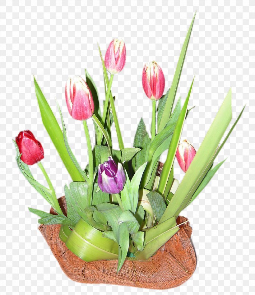 Tulip Flower Bouquet, PNG, 884x1024px, Tulip, Cut Flowers, Designer, Floral Design, Floristry Download Free