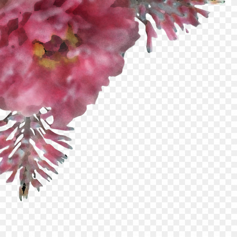 Cut Flowers Petal Family Flower, PNG, 1440x1440px, Cut Flowers, Family, Flower, Petal, Pnk Download Free