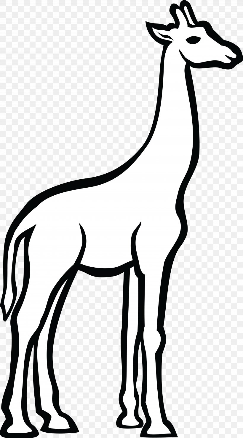 Line Art Drawing Clip Art, PNG, 4000x7188px, Line Art, Animal Figure, Antelope, Art, Black And White Download Free