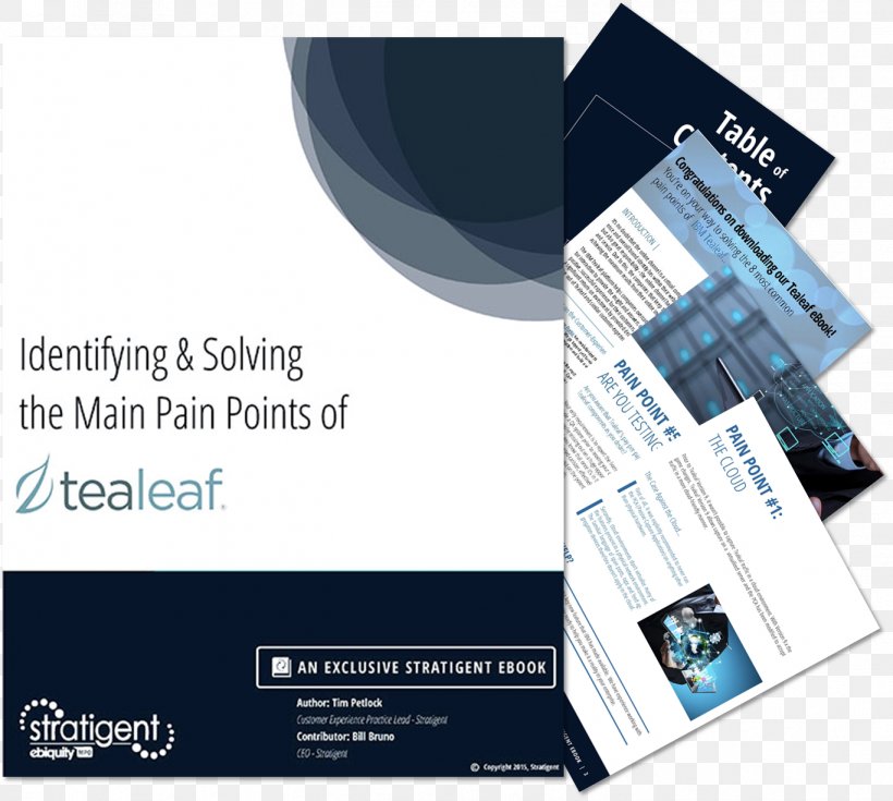 Tealeaf Customer Experience Business IBM, PNG, 1367x1226px, Tealeaf, Advertising, Brand, Brochure, Business Download Free