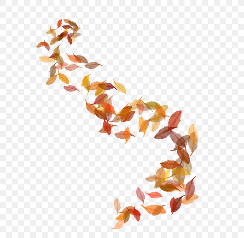 Autumn Leaves Image Leaf, PNG, 602x800px, Autumn, Autumn Leaves, Drawing, Leaf, Orange Download Free