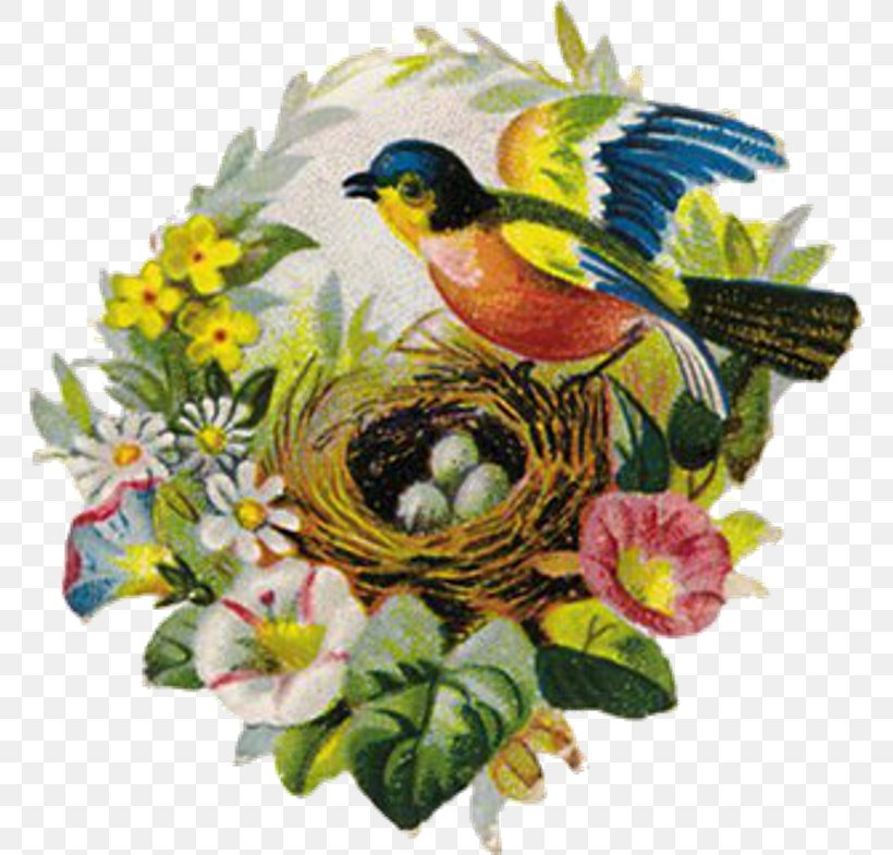 Bird Houses Beak Nest Clip Art, PNG, 768x785px, Bird, American Sparrows, Animal, Art, Beak Download Free