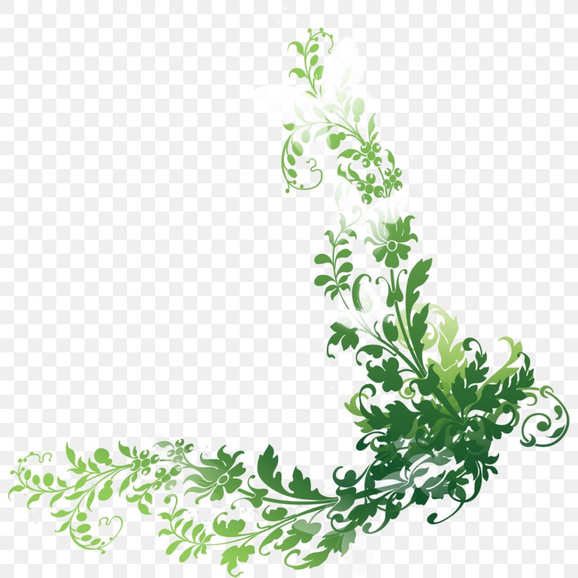 Clip Art Image Vector Graphics Picture Frames, PNG, 798x820px, Picture Frames, Branch, Drawing, Flower, Grass Download Free