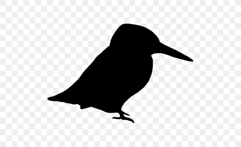 Rook American Crow Common Raven Bird Clip Art, PNG, 500x500px, Rook, American Crow, Beak, Bird, Black And White Download Free