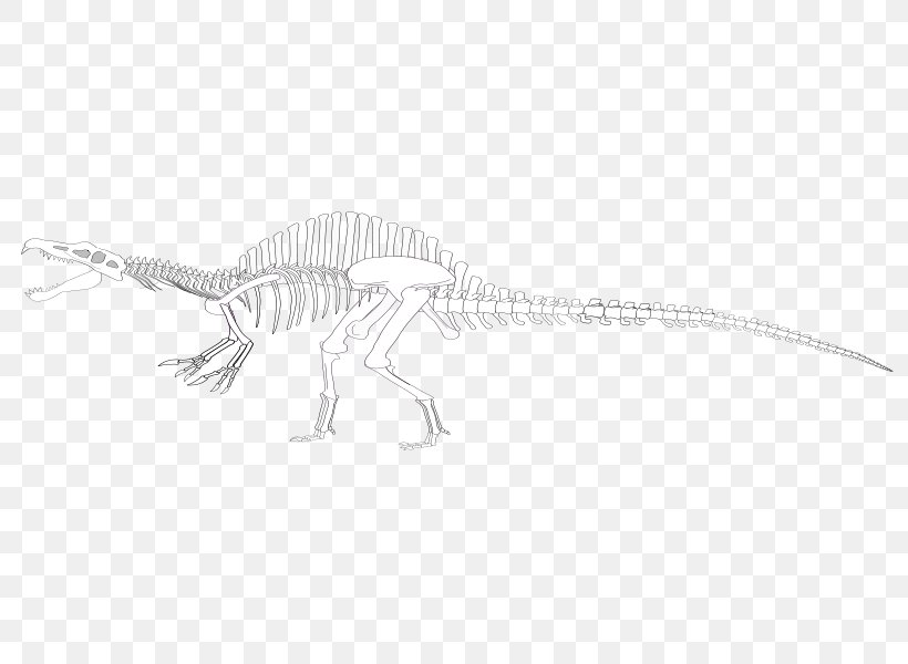 Spinosaurus Tyrannosaurus Tiffany Doggett Velociraptor Wikimedia Commons, PNG, 800x600px, Spinosaurus, Animal Figure, Black And White, Dinosaur, Free Licence Download Free