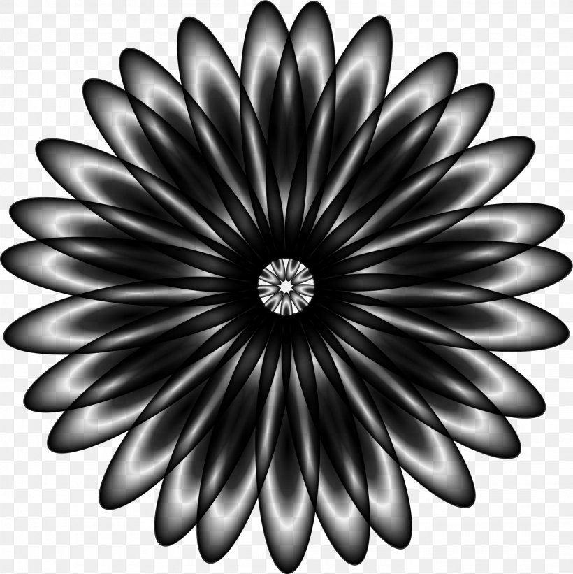 Vector Graphics Borders And Frames Clip Art Image Stock Photography, PNG, 2117x2122px, Borders And Frames, African Daisy, Black, Blackandwhite, Daisy Download Free