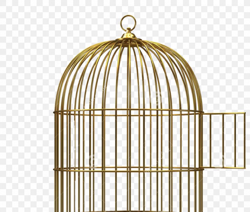 Birdcage Clip Art, PNG, 927x786px, 3d Rendering, Birdcage, Bird, Cage, Can Stock Photo Download Free