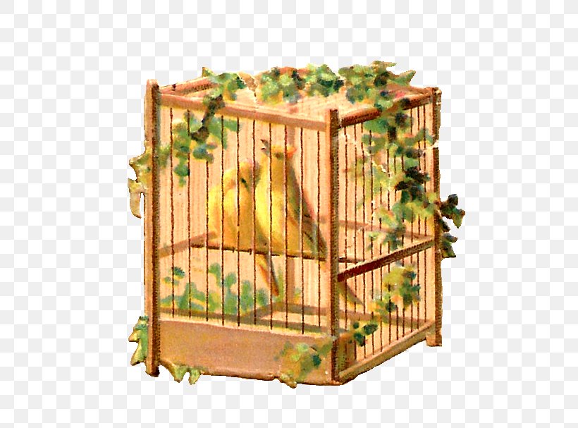 Birdcage Paper Birdcage Clip Art, PNG, 609x607px, Bird, Birdcage, Cage, Digital Scrapbooking, Ephemera Download Free