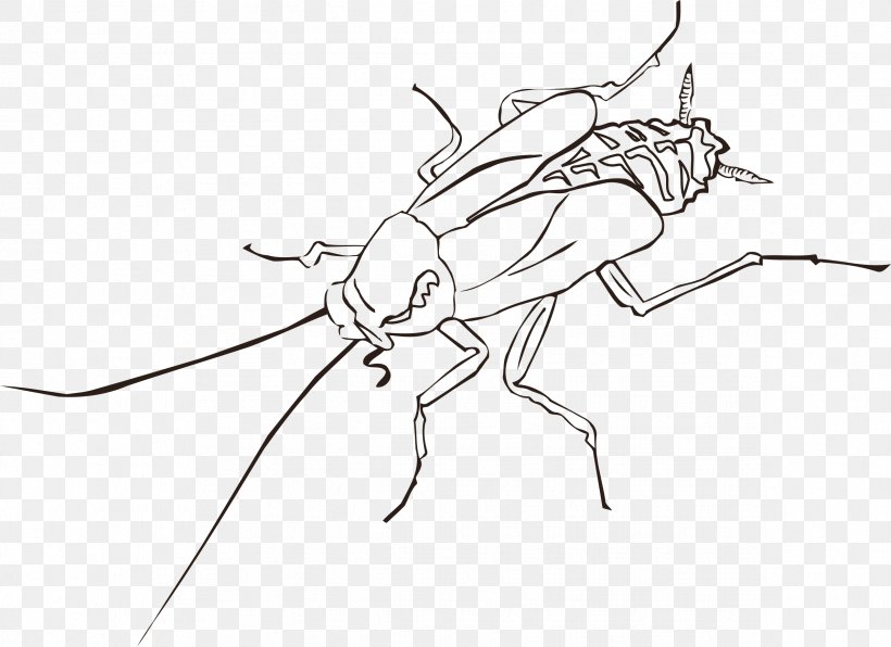 Cockroach Insect Wing Pest Clip Art, PNG, 2377x1730px, Cockroach, Arthropod, Artwork, Black And White, Cartoon Download Free