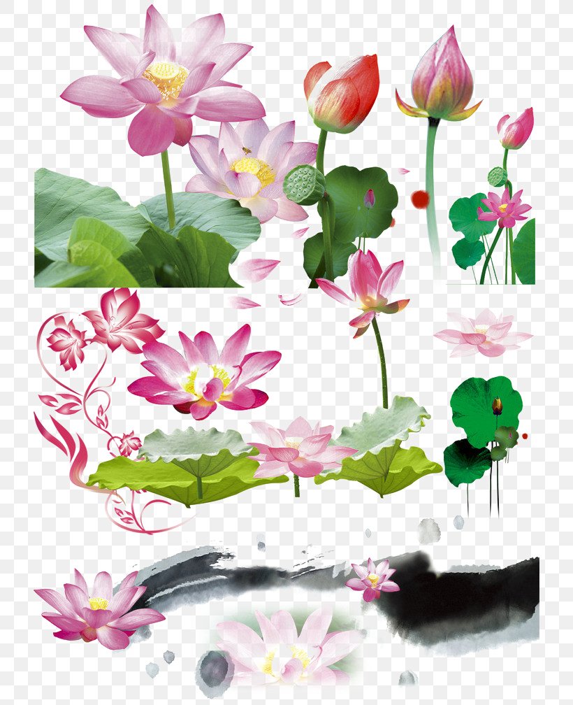 Download Leaf Adobe Illustrator Computer File, PNG, 724x1008px, Leaf, Aquatic Plant, Computer Software, Coreldraw, File Size Download Free