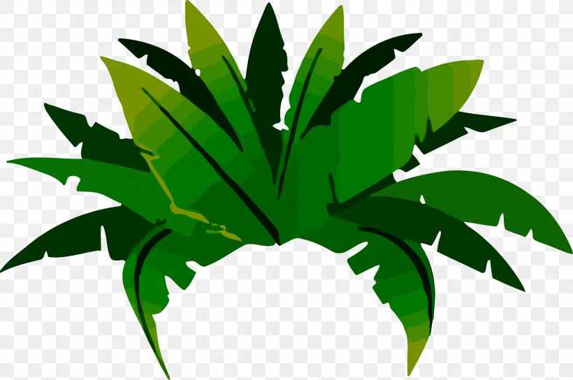 Jungle Tropical Rainforest Amazon Rainforest Plant, PNG, 2391x1589px, Jungle, Amazon Rainforest, Arecaceae, Arecales, Botany Download Free
