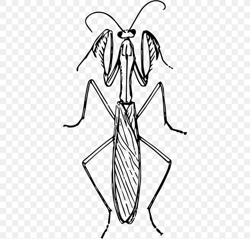 Mantis Clip Art, PNG, 406x782px, Mantis, Animal, Artwork, Black And White, Cartoon Download Free