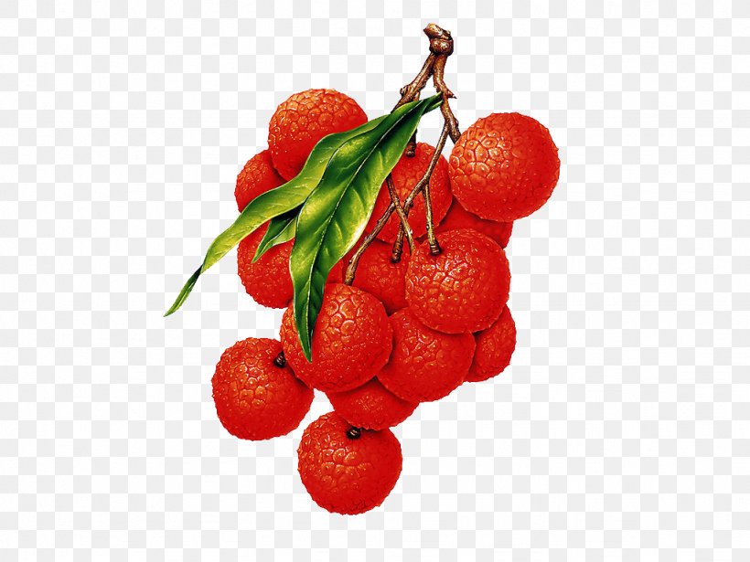Lychee Fruit Desktop Wallpaper Vegetarian Cuisine Clip Art, PNG, 1024x768px, Lychee, Berry, Cranberry, Diet Food, Food Download Free