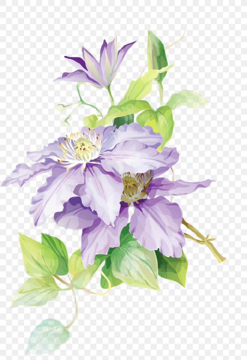 Watercolor Painting Flower Drawing, PNG, 1098x1600px, Watercolor Painting, Art Museum, Artificial Flower, Clematis, Cut Flowers Download Free