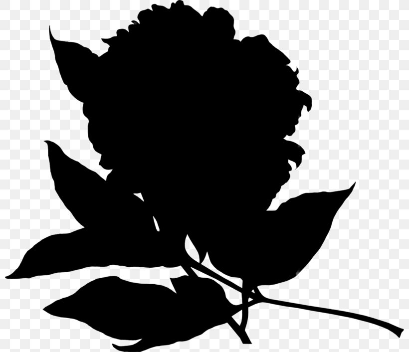 Clip Art Flowering Plant Silhouette Leaf, PNG, 800x706px, Flower, Beak, Black, Black M, Blackandwhite Download Free