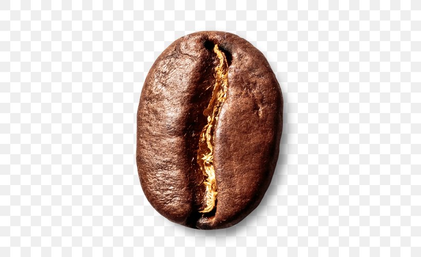 Coffee Bean Schwarzmahler Espresso Commodity, PNG, 500x500px, Coffee, Arabica Coffee, Bean, Black, Coffee Bean Download Free