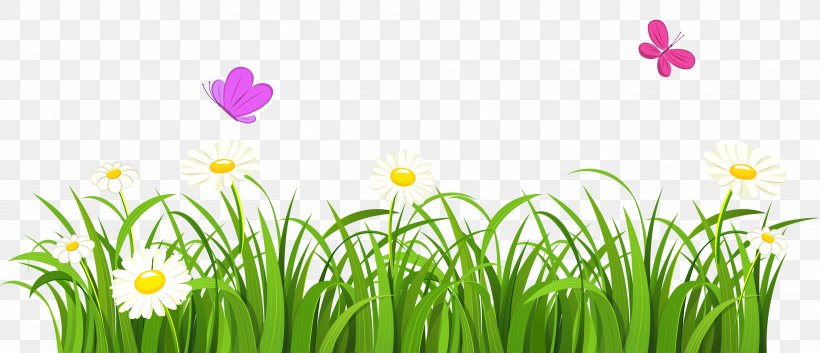 Grasses Flower Clip Art, PNG, 3721x1603px, Grasses, Bee, Flora, Flower, Flowering Plant Download Free