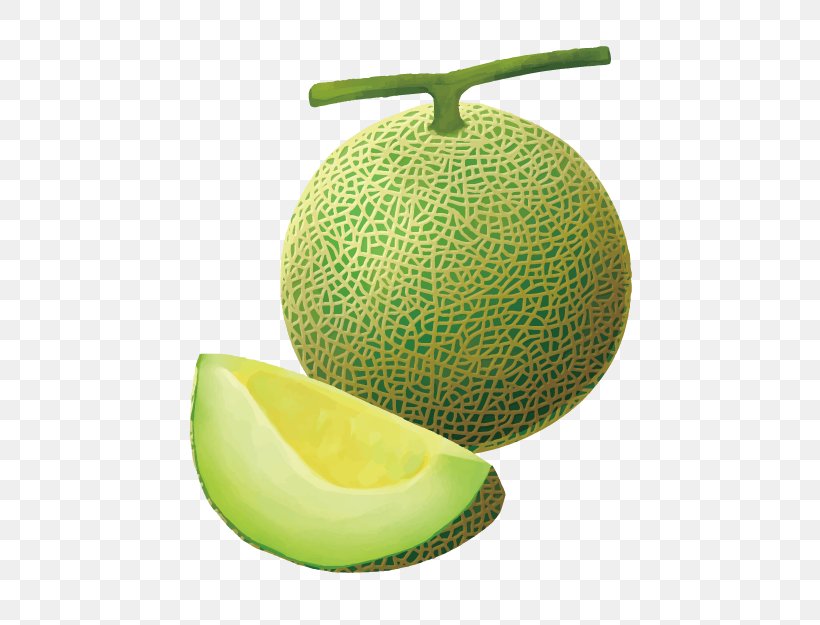 Honeydew Cantaloupe 3D Computer Graphics, PNG, 625x625px, 3d Computer Graphics, Honeydew, Animation, Auglis, Cantaloupe Download Free