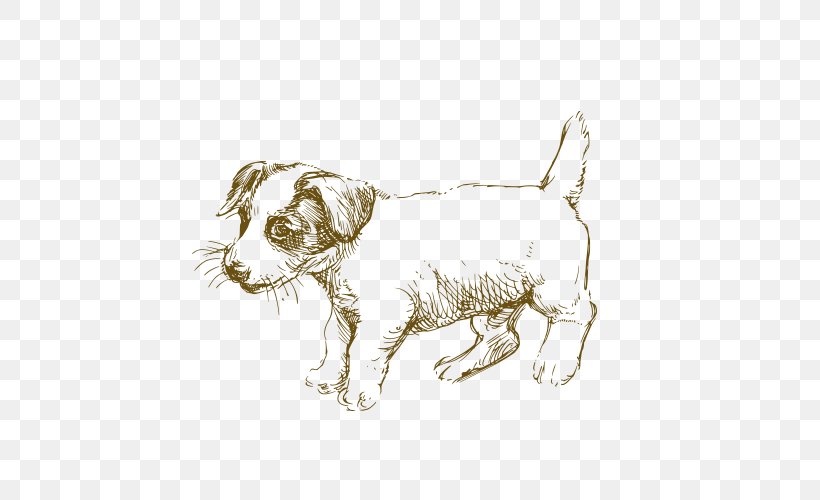 Jack Russell Terrier Siberian Husky Puppy Drawing, PNG, 500x500px, Jack Russell Terrier, Animal, Carnivoran, Cat, Cat Like Mammal Download Free