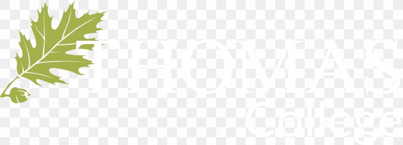 Thomas College Desktop Wallpaper Leaf Plant Stem Font, PNG, 6092x2205px, Thomas College, Branch, Branching, College, Computer Download Free