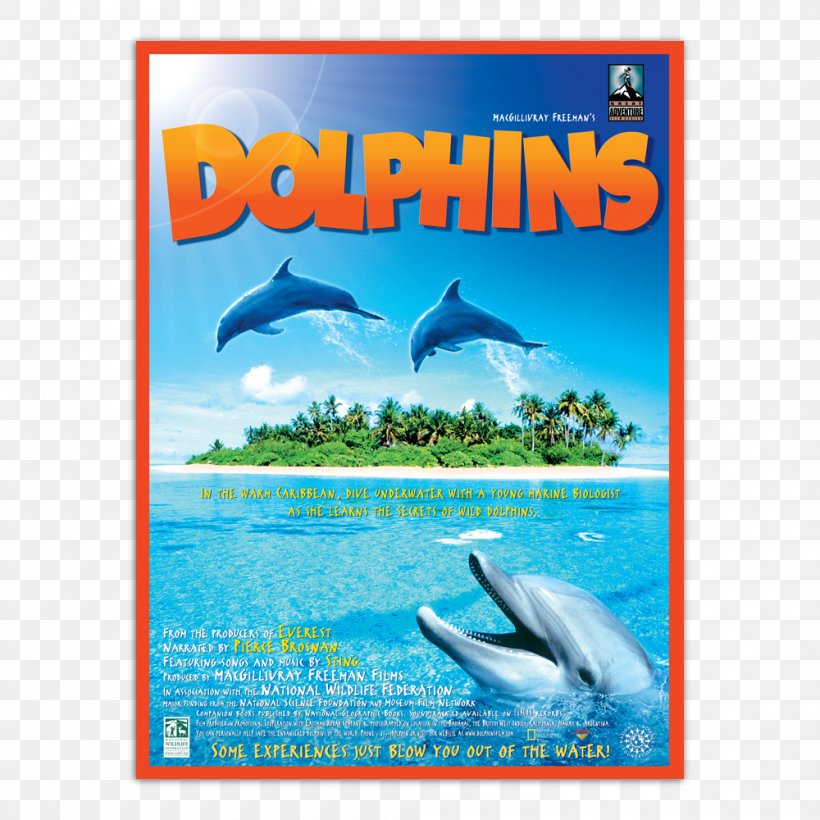 Common Bottlenose Dolphin La Plata Dolphin IMAX DVD, PNG, 1000x1000px, Common Bottlenose Dolphin, Advertising, Documentary Film, Dolphin, Dolphins Download Free