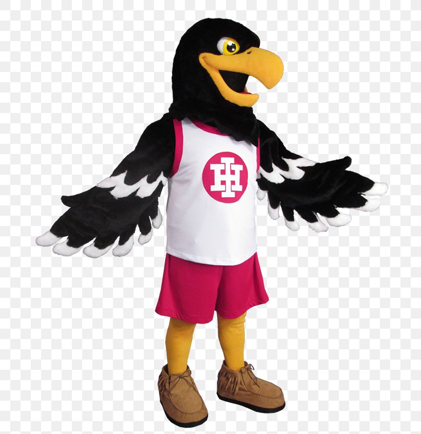 Indian Hill High School Costume Botarga Mascot, PNG, 720x845px, Costume, Animaatio, Beak, Bird, Botarga Download Free