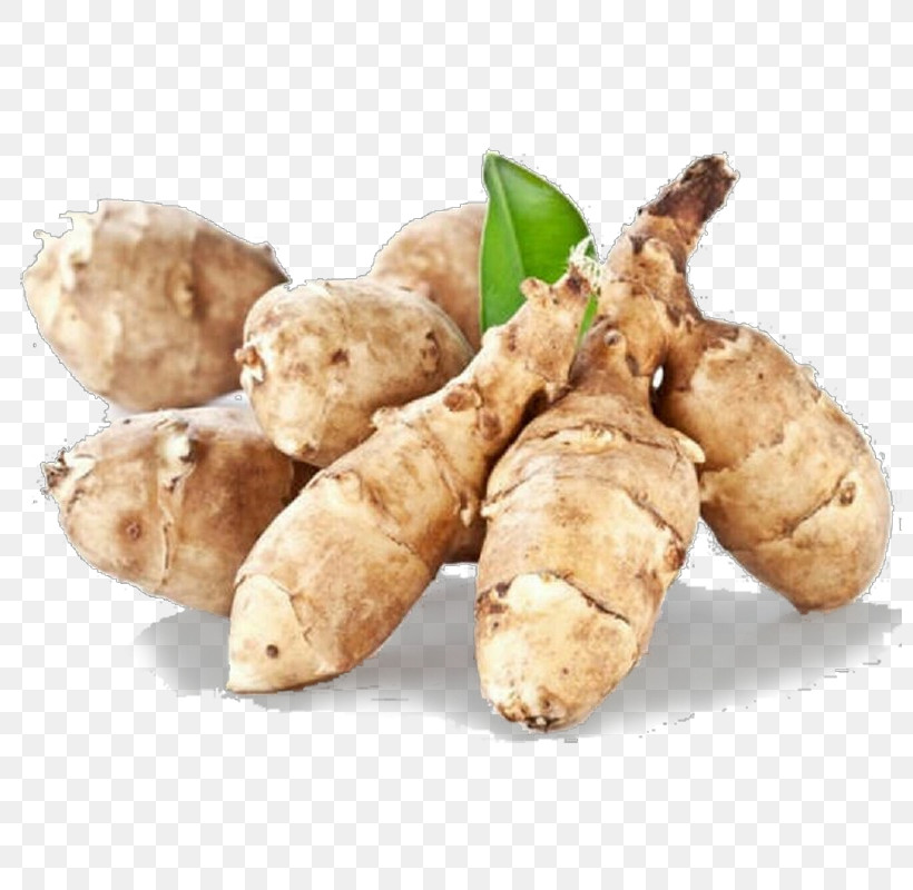 Tuber Zedoary Ginger Root Vegetable Jerusalem Artichoke, PNG, 800x800px, Tuber, Food, Galangal, Ginger, Greater Galangal Download Free