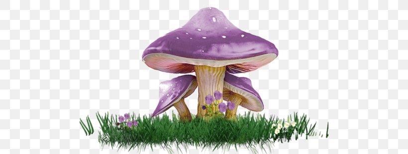 Amanita Muscaria Mushroom, PNG, 500x310px, 3d Computer Graphics, Amanita Muscaria, Amanita, Amanita Virosa, Common Mushroom Download Free