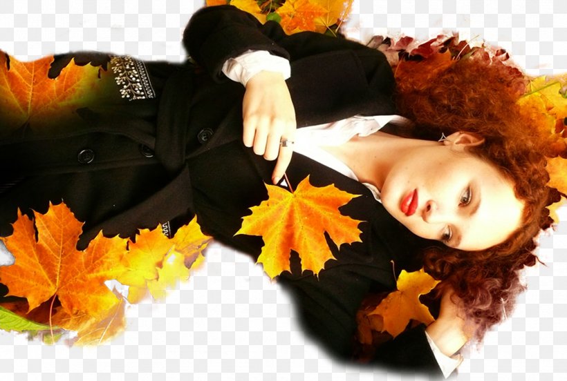 Autumn Color Video Im Poqrik Hayastan Hairstyle, PNG, 1772x1193px, Autumn, Color, Eye Shadow, Flower, Gamut Download Free